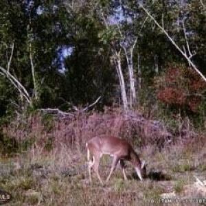 ME1e1266160becddcc23abe3a377a508b0