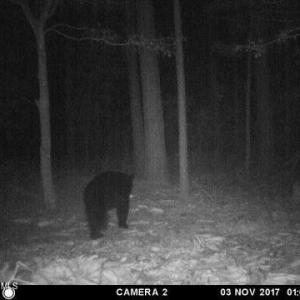 ME81b45fe0867cd525ddeea54da8083774