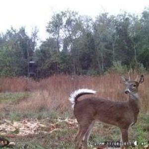 MEe3c0cd5e49605b9641c56256d6c201a8