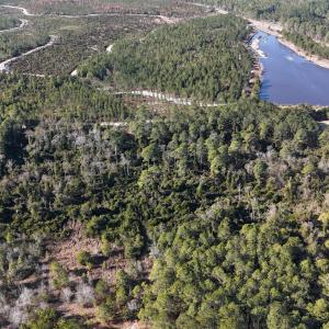 DJI_20260210095723_0561_D