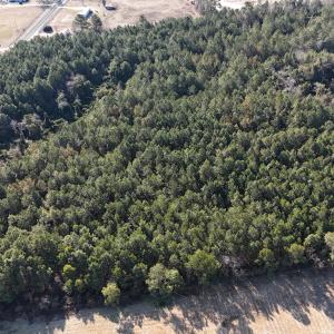 DJI_20260210095343_0553_D