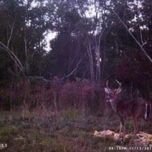 MEf046879005b9ef56ae86b55b2f60f07c