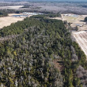 DJI_20260210095815_0565_D