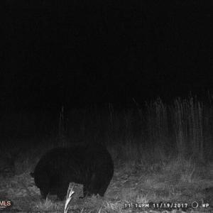 MEdfb0d91a9269386affe0d5e09d3bcf65