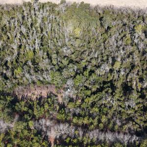 DJI_20260210095608_0557_D