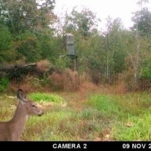 ME8c1d77264d3876f8efca055e2b992b74