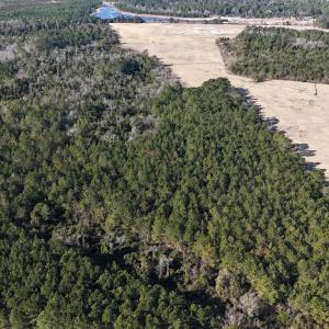 DJI_20260210095219_0549_D