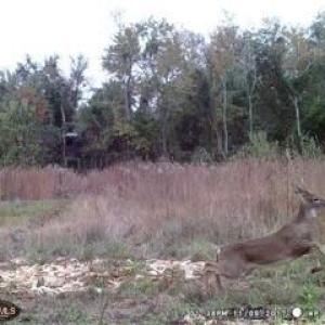 ME68886e8e4d61b1c63738efe30c286cab