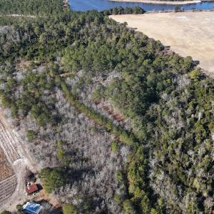 DJI_20260210095630_0559_D