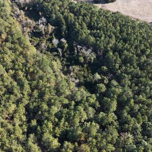 DJI_20260210095944_0568_D