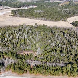 DJI_20260210095550_0556_D