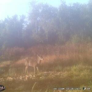 MEd800046d3d0603566b50375bed7d13fd