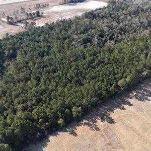 DJI_20260210095317_0550_D