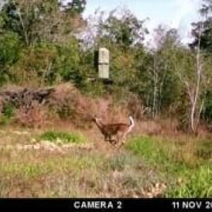 MEb15a81582085fcb79375c796444d4ea6