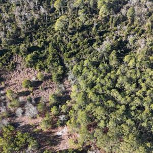 DJI_20260210095804_0564_D