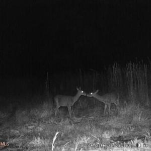 ME459c7eb841b86173b5c7a1c86754b98a