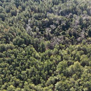 DJI_20260210095419_0554_D