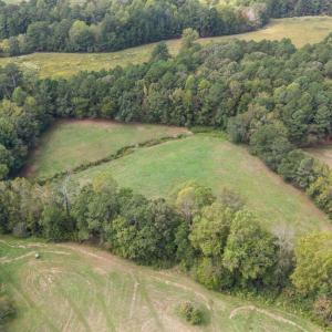 3-web-or-mls-DJI_20241003124543_0054_D