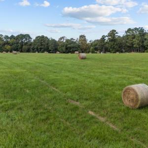 13-web-or-mls-DJI_20241003125325_0071_D