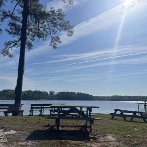 community picnic area