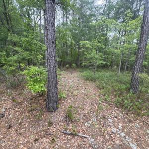 image_cropper_71264EC2-6315-42FB-AE77-7B