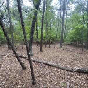 image_cropper_638DDDA7-C095-46D1-AFBC-65