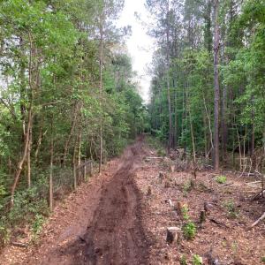 20260420_Southern I-40 line