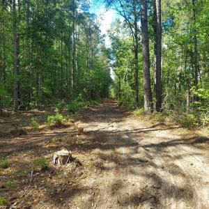 20260420_cleared roads