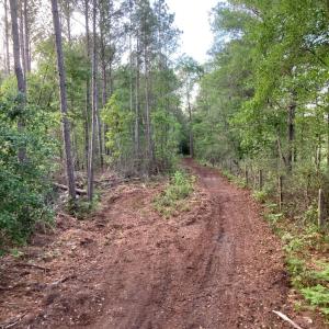 20260420 cleared path