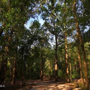 50. Riverfront Access Paths