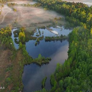 12. white crane over ponds 2.)