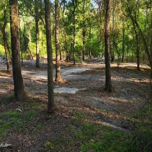 51. Riverfront Access Paths