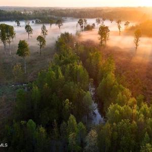 58. Southwestern Wetlands Area