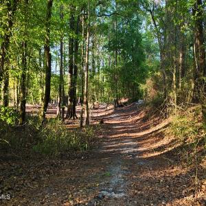 53. Riverfront Access Paths