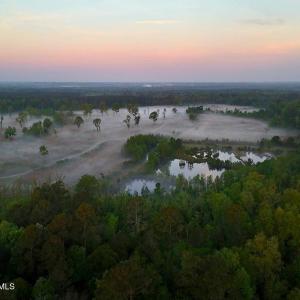 14. Ponds Area