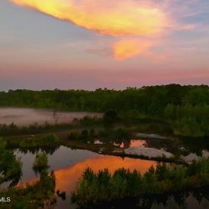 2. Ponds Area