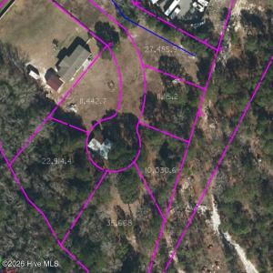 preliminary survey pic