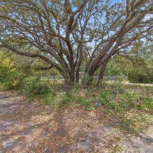 oldferryconnectionlot - 6