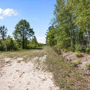 11-web-or-mls-IMG_7019