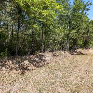 13-web-or-mls-IMG_7021