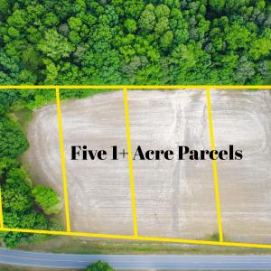 5 Parcel Subdivision