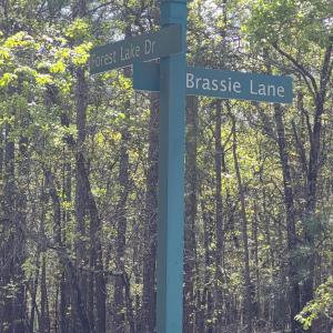 Brassie Lane Sigage