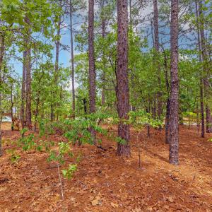 109 Longleaf Dr