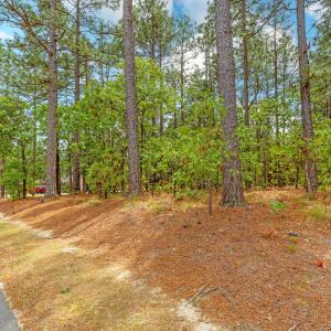 109 Longleaf Dr 4