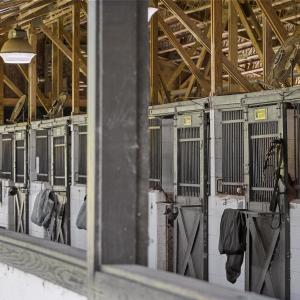 028_450_addor_road-19_986