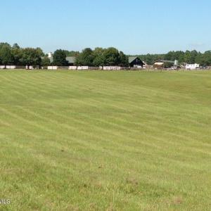 pasture