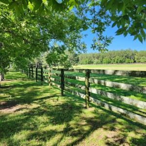 fenceline