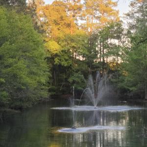 Screenshot 2026-04-23 at 9.57.43AM