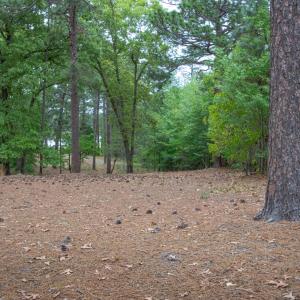 GrangerRdNo7Photo16FacingCourse