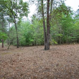 GrangerRdNo7Photo6FacingWoods